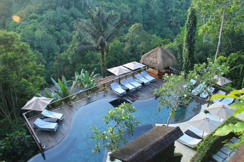 Luxury Savage Resort in Bali. Tropical jungle resort pool surrounded by lush green palm trees and a swimming pool.