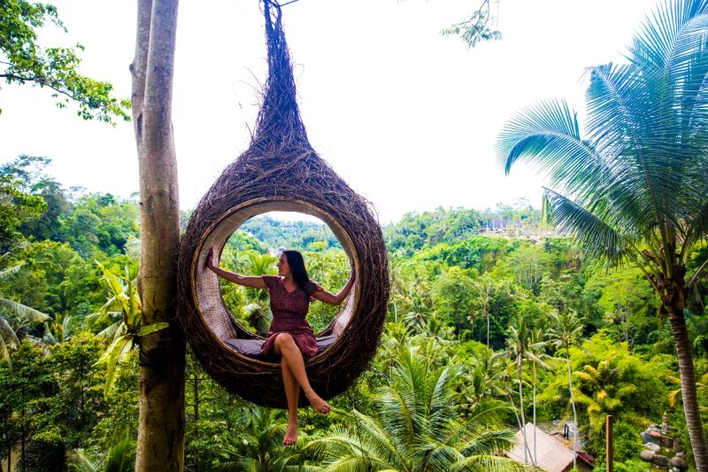 A female tourist is sitting on a large bird-nest swing on a tree at Bali island overlooking a lush tropical forest.