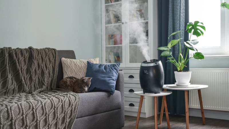 Housewarming gifts - humidifiers