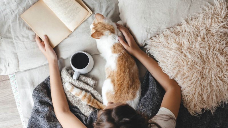 Cozy Housewarming Gifts For Introverts