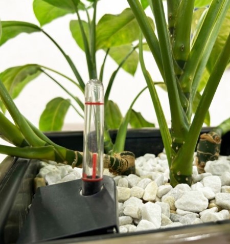Solar Drip Irrigation System with Automatic Plant Watering
